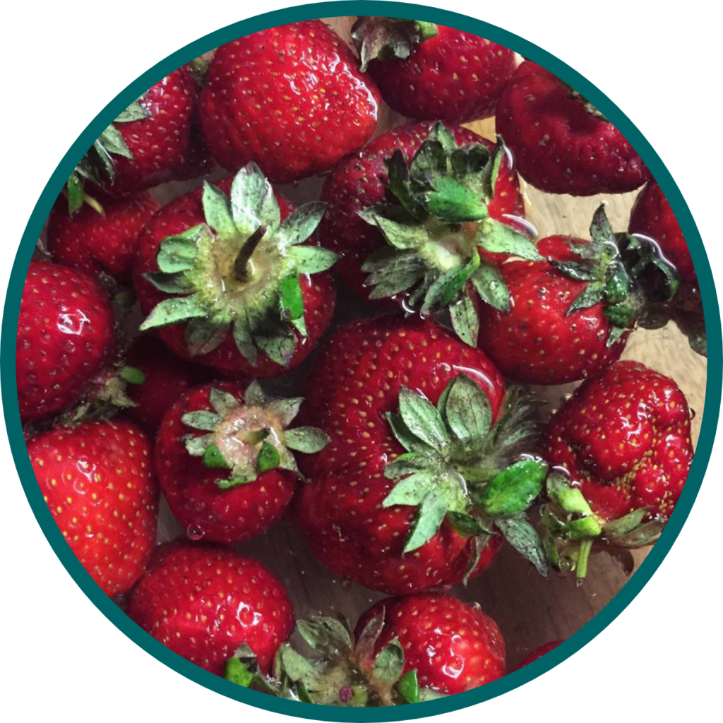 plantiful strawberries
